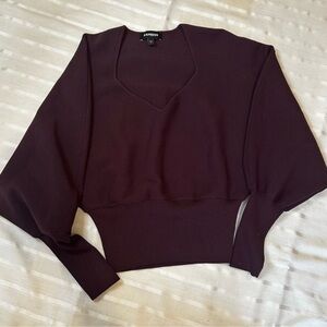 Express Rich Purple Knit Top